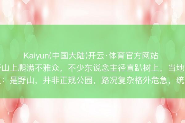 Kaiyun(中国大陆)开云·体育官方网站 王心凌演唱会，场馆外野山上爬满不雅众，不少东说念主径直趴树上，当地酬报：是野山，并非正规公园，路况复杂格外危急，统共没猜度会有东说念主爬上去