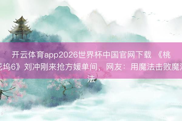 开云体育app2026世界杯中国官网下载 《桃花坞6》刘冲刚来抢方媛单间，网友：用魔法击败魔法